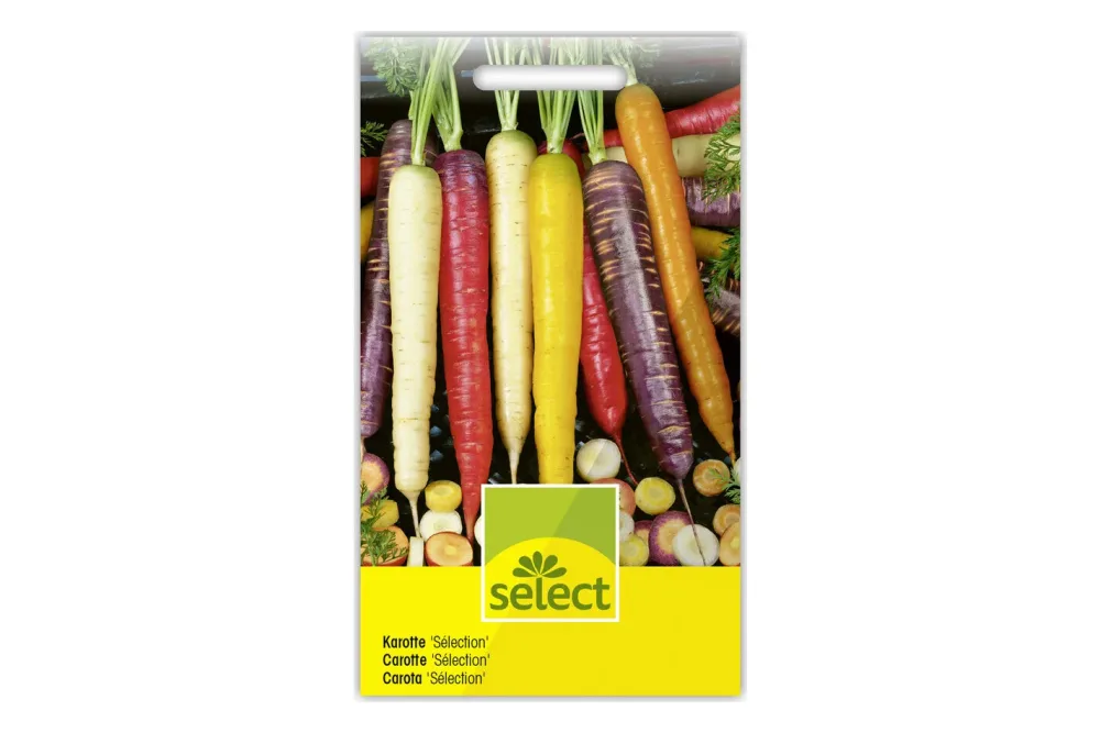 Select Karotte 'Sélection' | 1 Stück