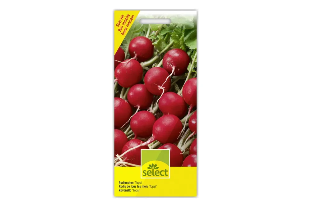 Select Radieschen Topsi