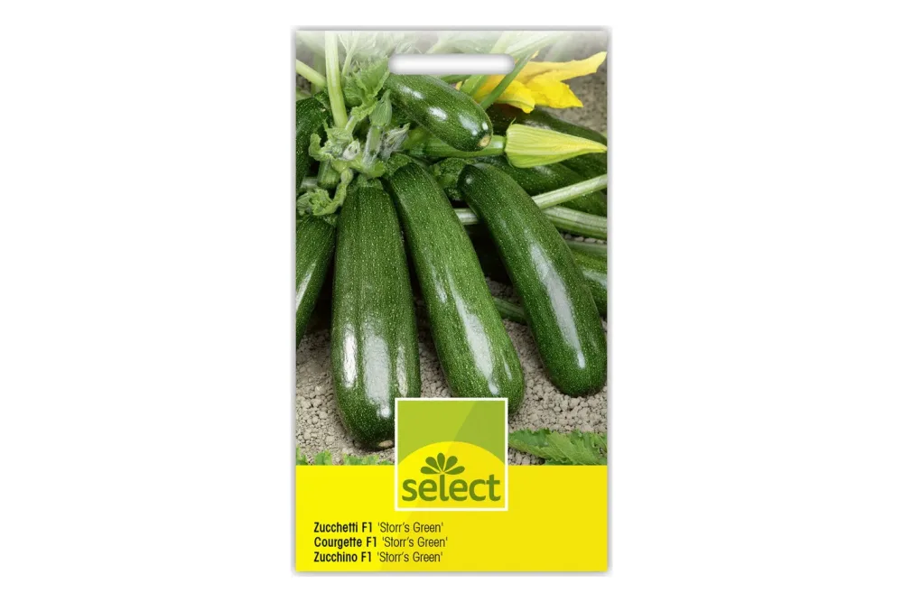 Select Zucchetti Storr's Green