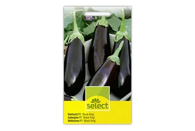 Eierfrucht Black King F1