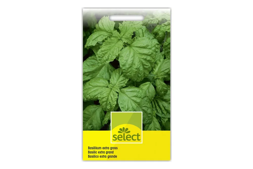 Select Basilikum Extra Gross