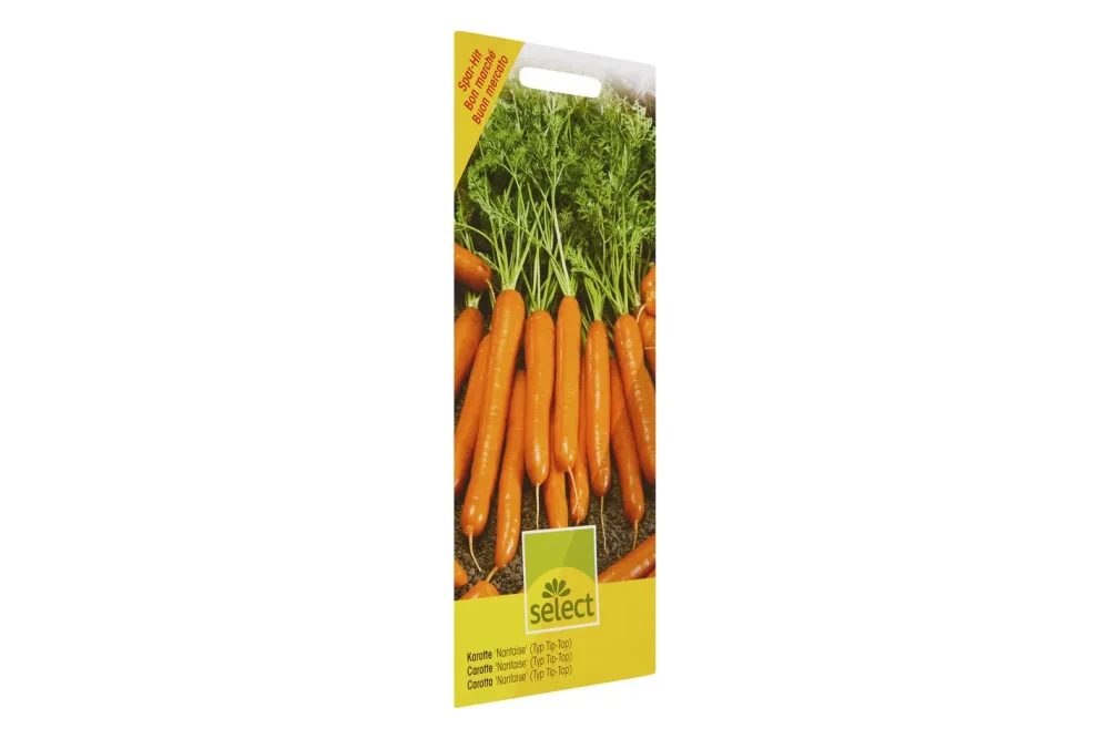 Select Karotte Nantaise Typ Tip-Top
