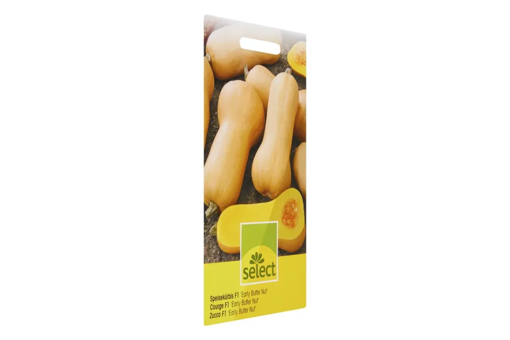 Select Speisekürbis Early Butter Nut