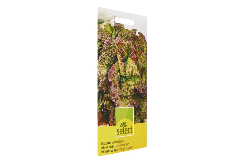 Select Pflücksalat Winterlattughino