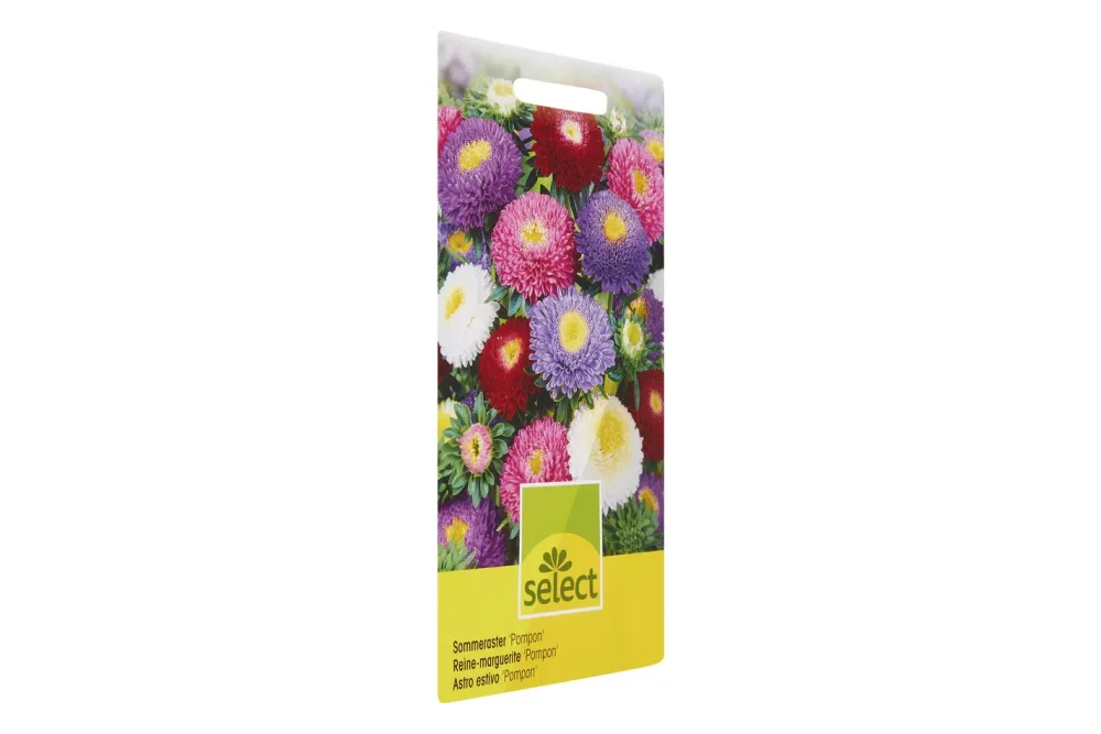 Select Sommeraster Pompon Mischung