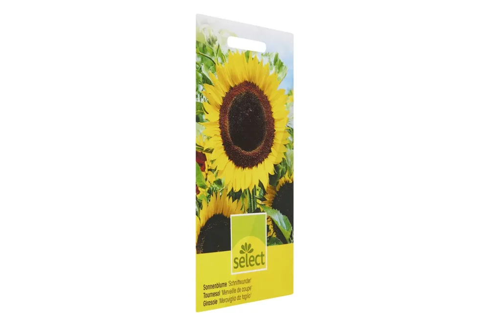 Select Sonnenblume Schnittwunder