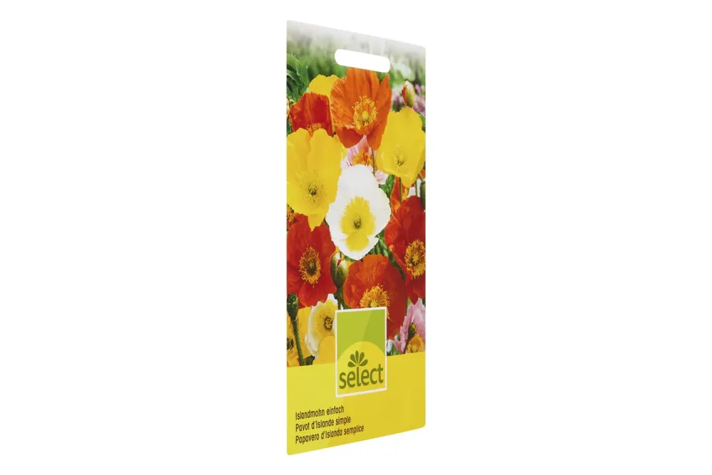 Select Papaver Islandmohn Mischung
