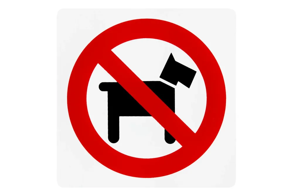 Schild «Keine Hunde» | 15 × 15 cm