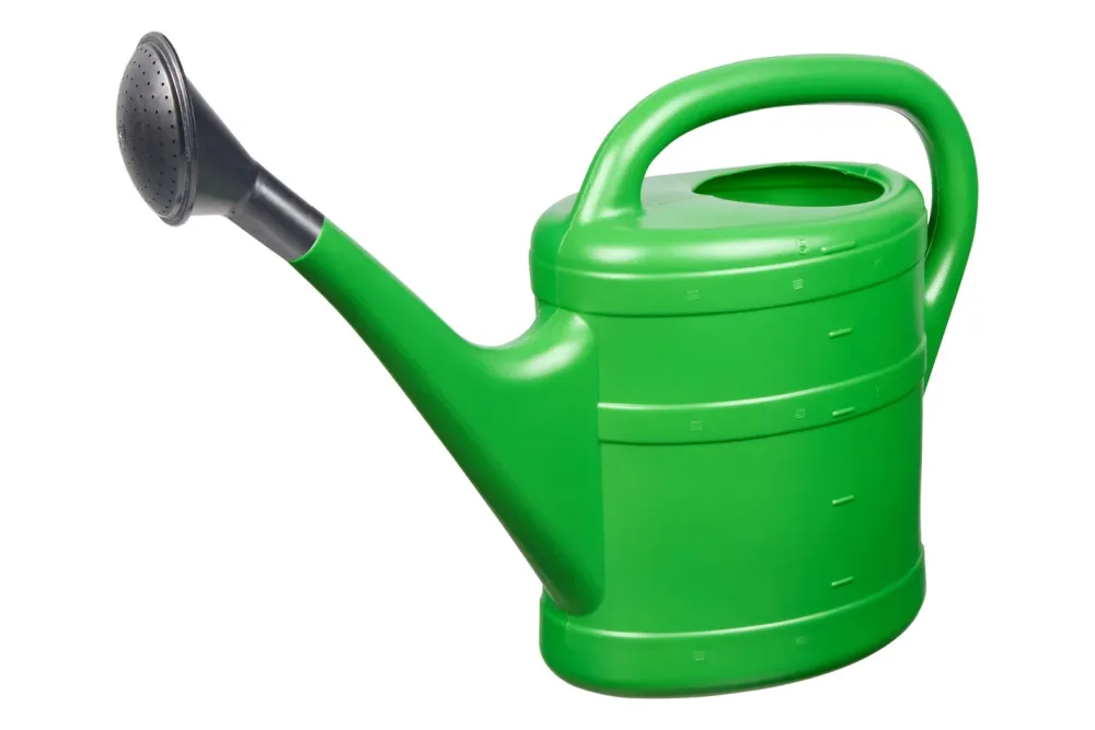 Geli Giesskanne grün 5 Liter