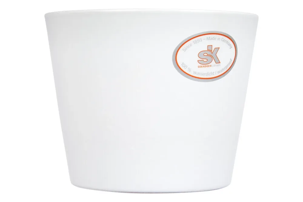 Soendgen Übertopf Dallas Weiss | 8 cm | 0.4 l