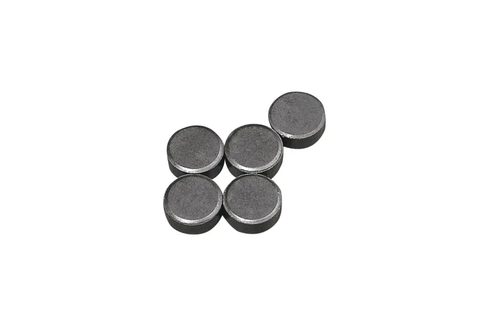 Rayher Magnete | ⌀ 13 mm | 5 Stück