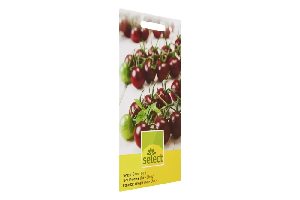 Select Black Cherry Tomate | Saatgut