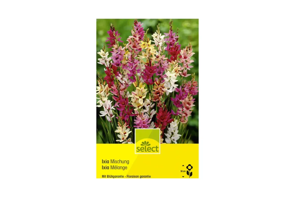 select Klebschwertel Ixia Mischung