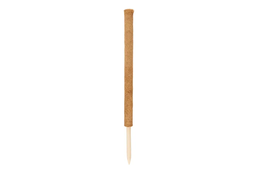 Windhager Pflanzenstab Kokos | 80 cm
