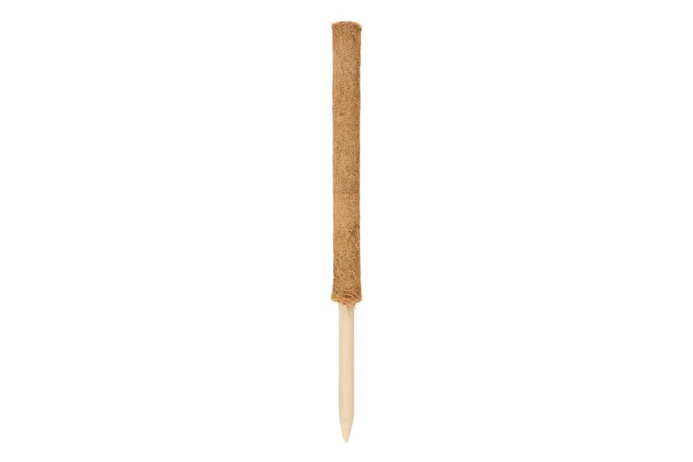 Windhager Pflanzenstab Kokos | 60 cm
