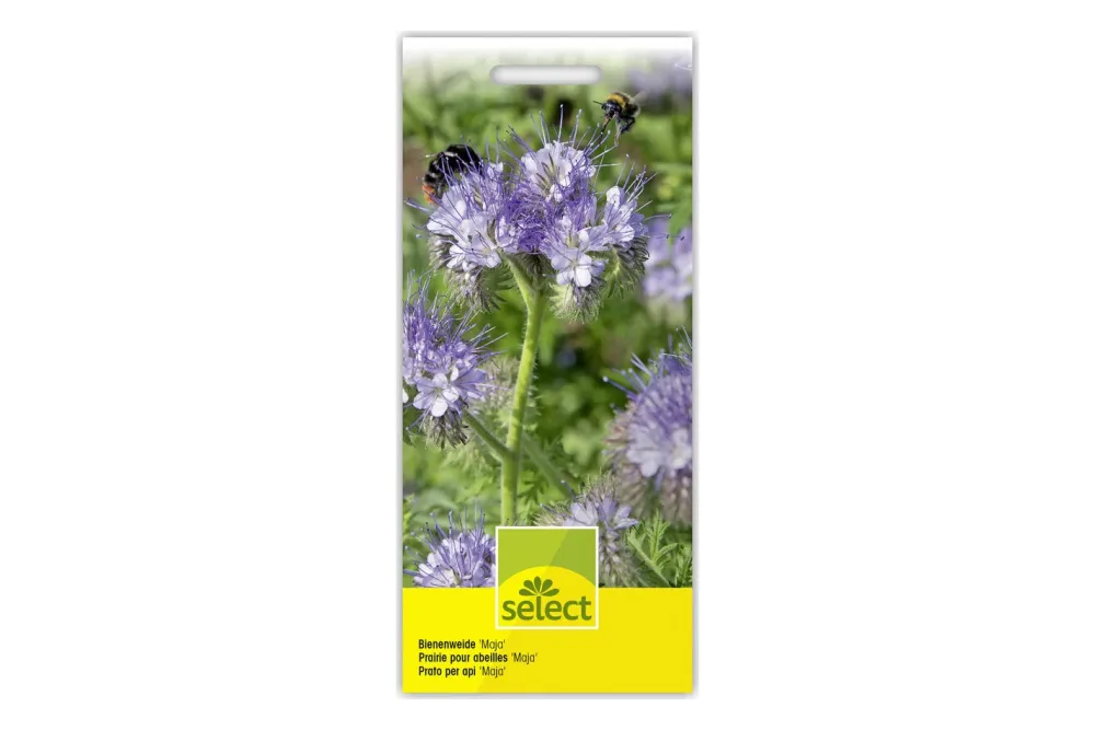 Select Gründüngung Bienenweide Maja