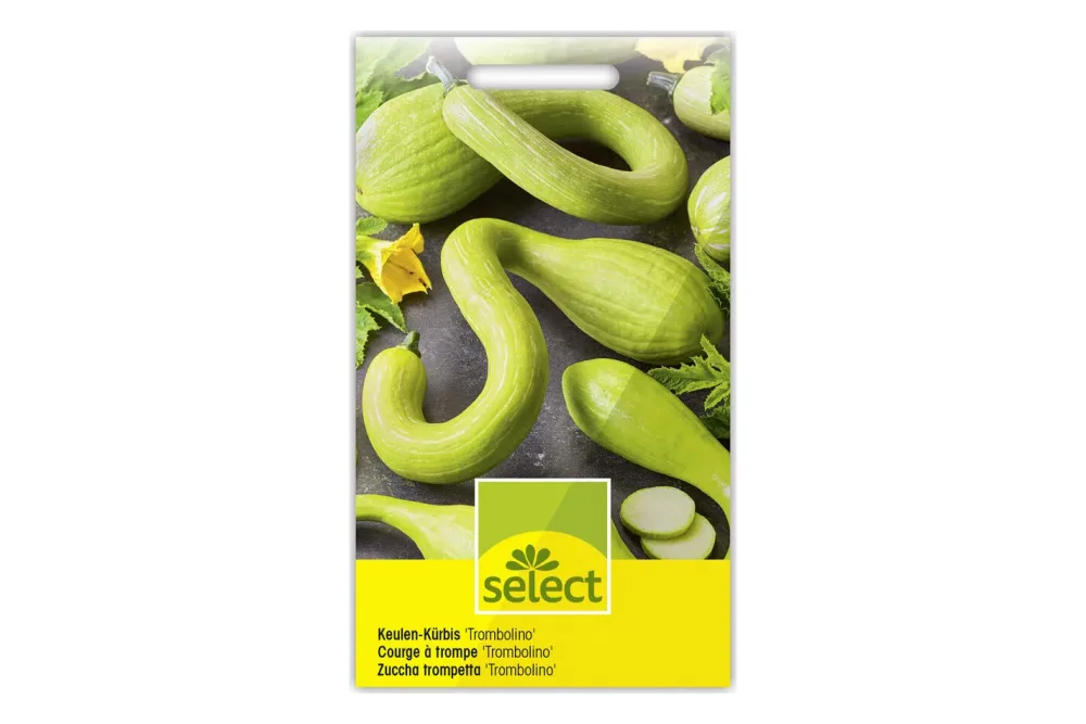 Select Keulen-Kürbis Trombolino