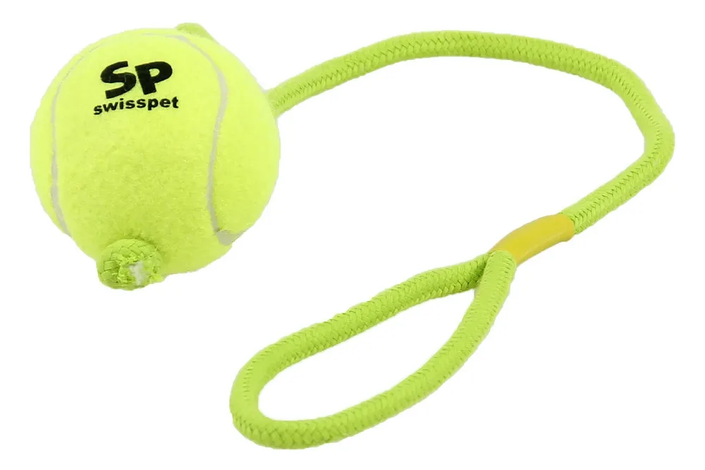 Swisspet Smash+Play Tennisball am Seil