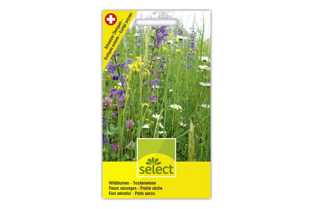 Select Wildblumen Trockenwiese