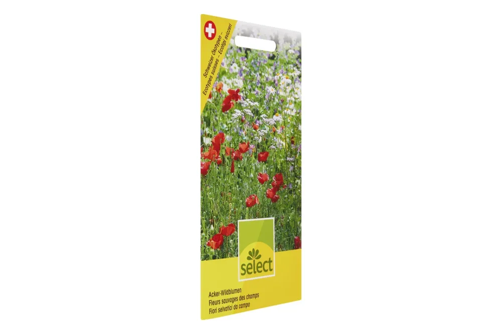 Select Acker-Wildblumen Schweizer Ökotypen