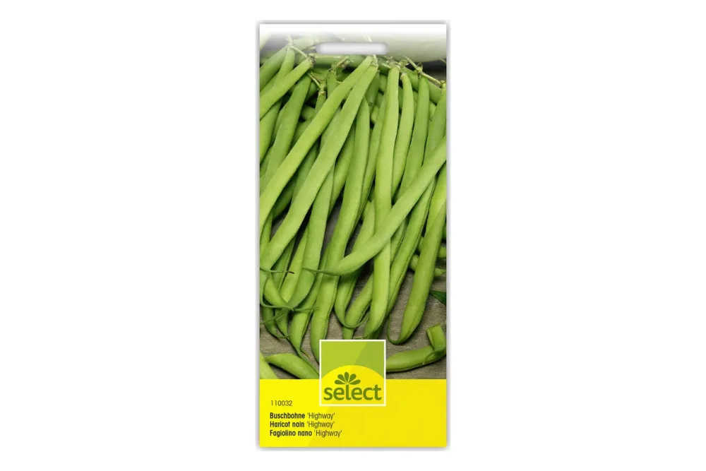 Select Buschbohne