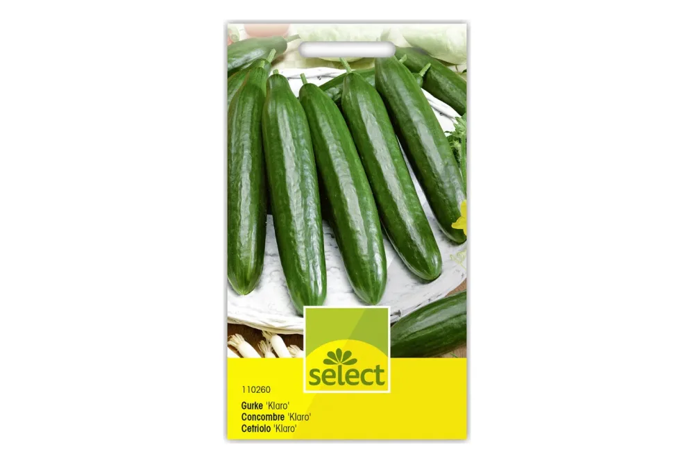 Select Gurke