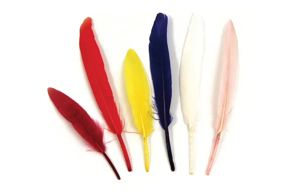 Rayher Indianerfedern | 10.5 cm | 24 Stück