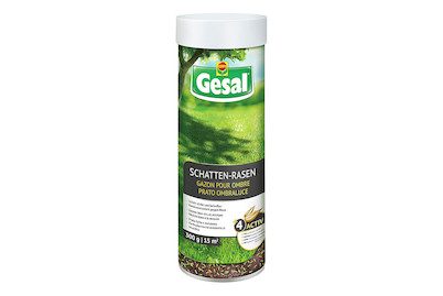 Gesal Schattenrasen | 300 g