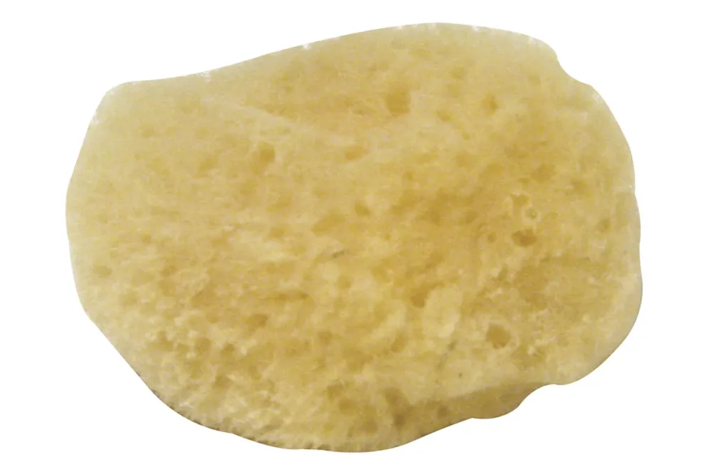 Rayher Naturschwamm Fina Feinporig | 3.5-5 cm | 5 Stück