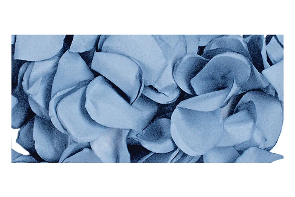 Rayher Papier-Blütenblätter Hellblau | 2.5 cm | 10 g