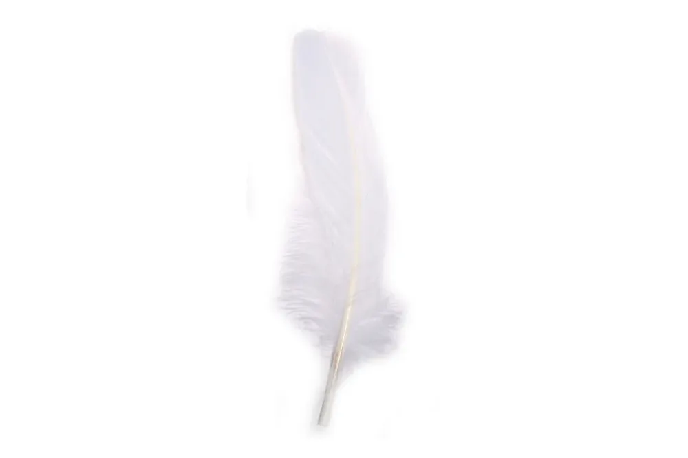 Rayher Gänsefedern Weiss | 16-20 cm | 8 Stück