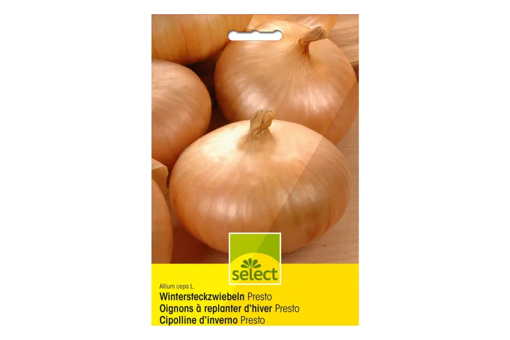 Select Steckzwiebeln Presto | 250 g