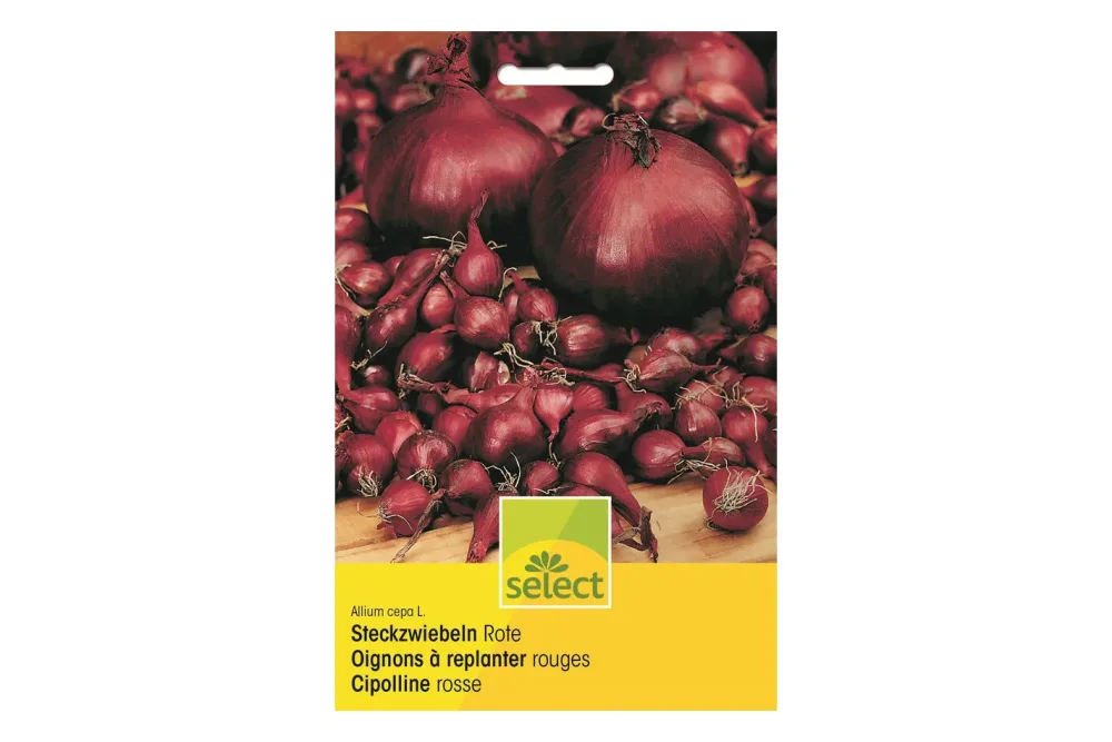 Select Steckzwiebeln Rot Winter | 250 g