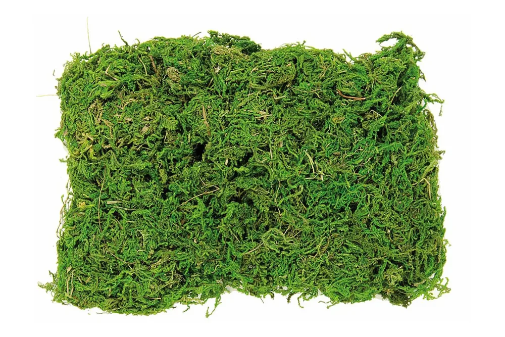 Glorex Moos Beutel | 50 g