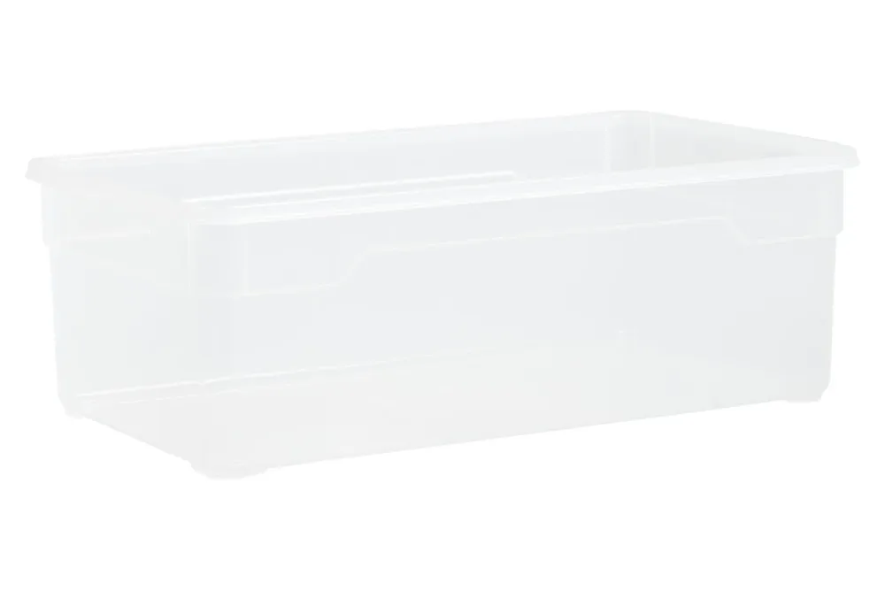 Rotho Aufbewahrungsbox Clear Lady Shoe | 11 × 19.5 × 33.5 cm | 5 l