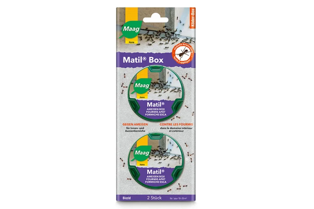 Maag Matil Ameisen Box | 2 Stück