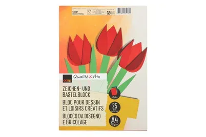 Coop Zeichen & Bastelblock A4 farbig 25 Blatt