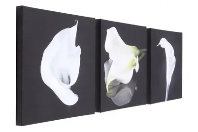Canvas Set 3x 30x30 Calla Lilies