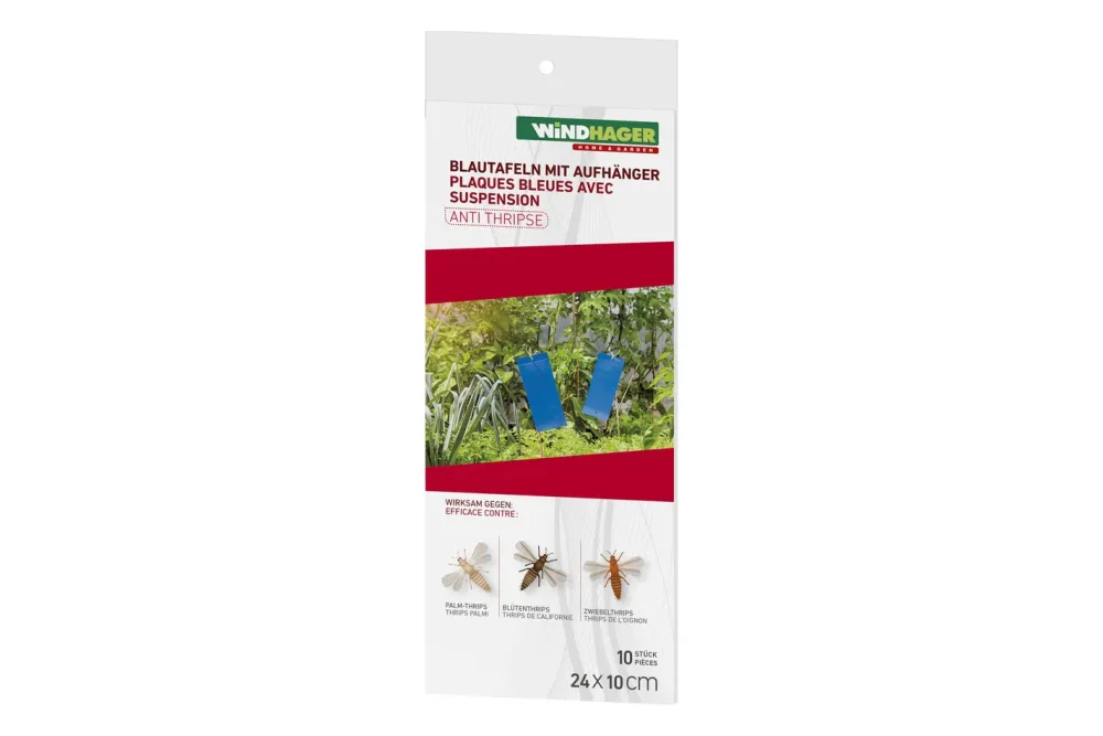 Blautafeln mit Aufhänger