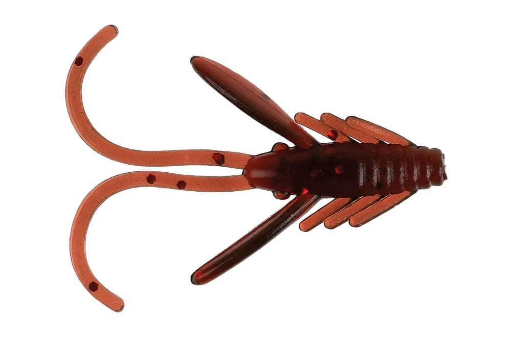 Red Eye Shrimp | 2.5 cm | 10 pcs