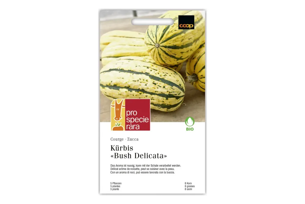 ProSpecieRara Bio Kürbis Delicata