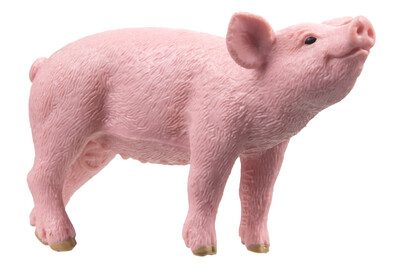 Schleich - 13934 Ferkel, Multicolor