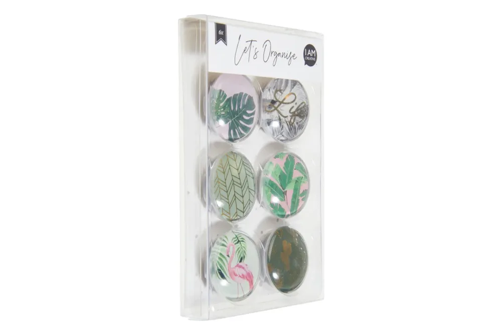 I AM CREATIVE Magnet Natur Let`s Organize MAA4035.61 Glas, 3x1cm 6 St&uuml;ck