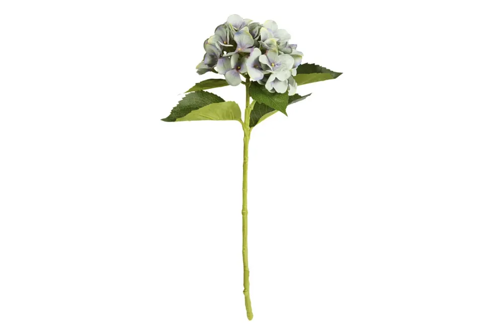 Mica Hortensie Blau | 51 cm