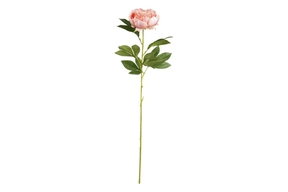 Mica Künstliche Pfingstrose Pfirsich | 76 cm