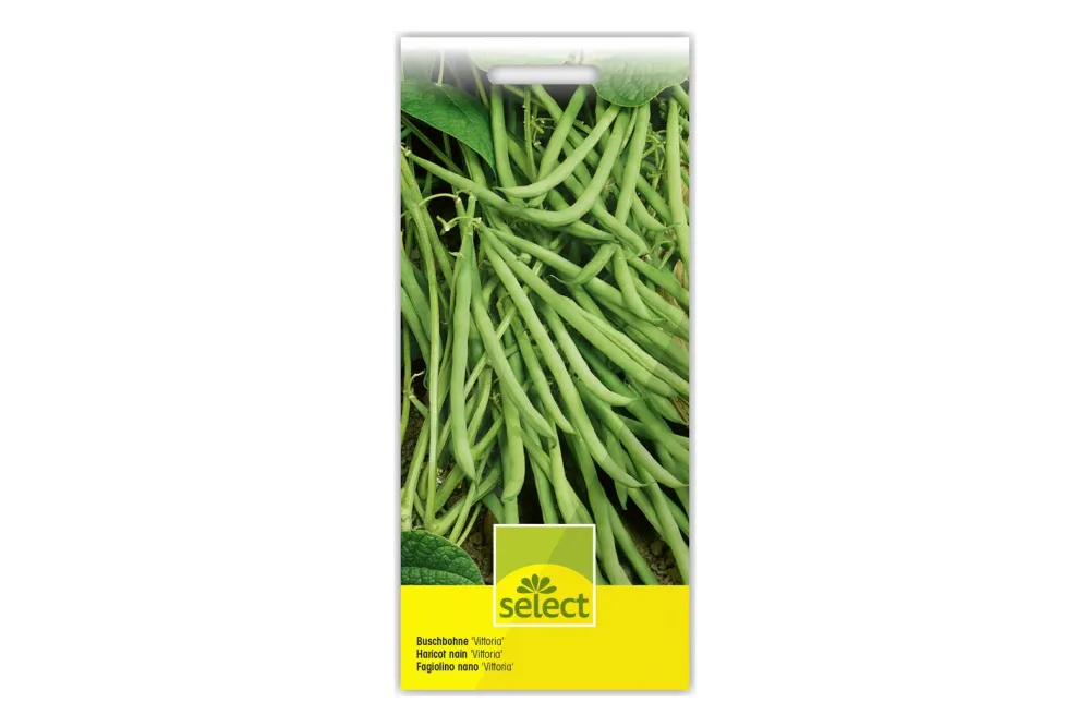 Select Buschbohne Vittoria