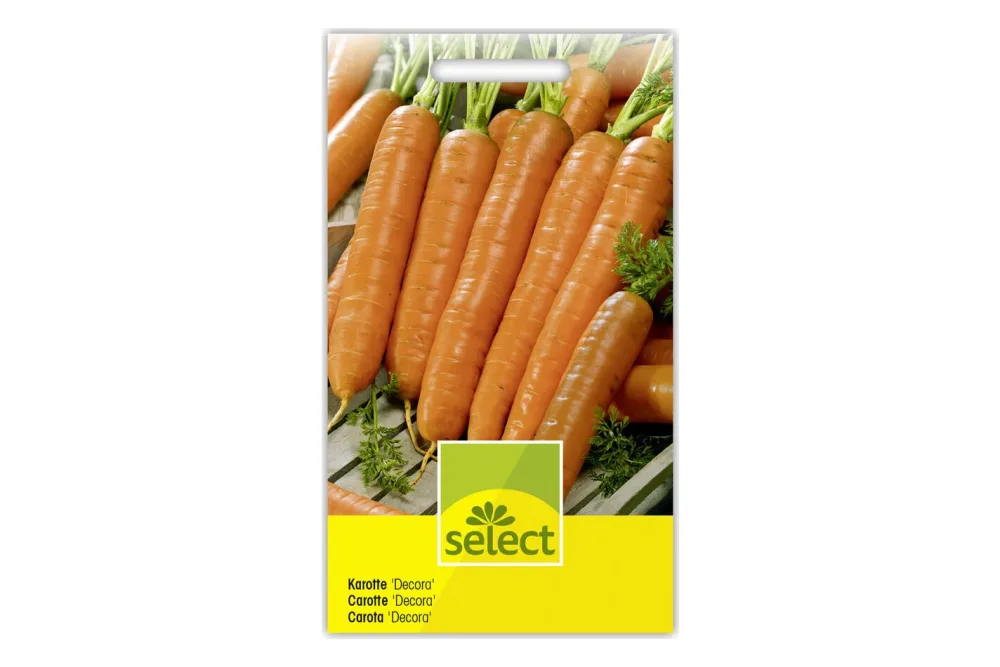 Select Karotte | Saatgut