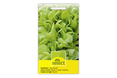 SELECT Schnittsalat