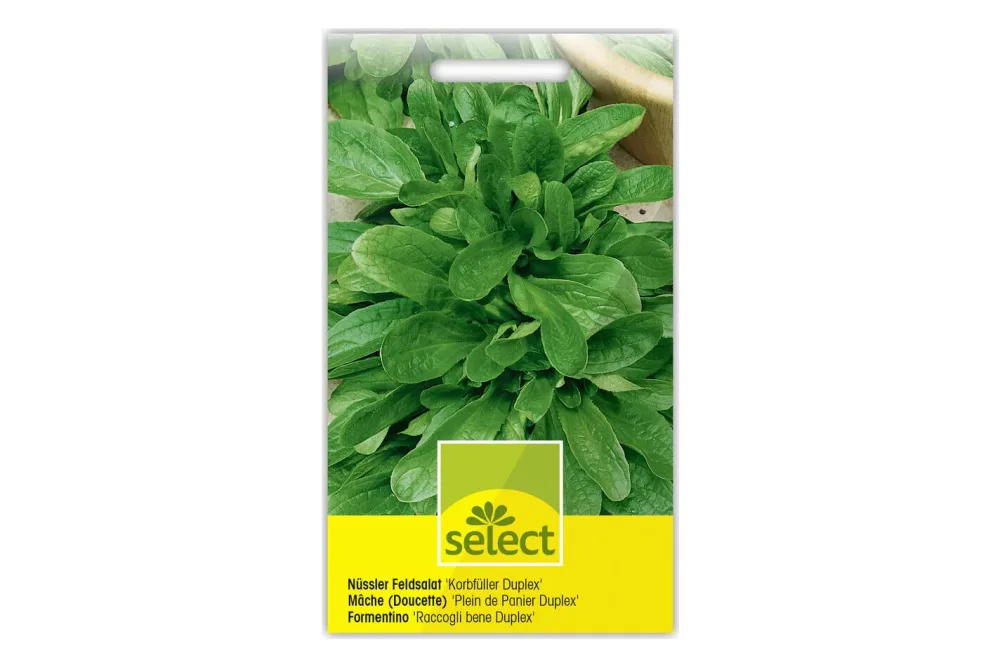 Select Nüssler Feldsalat