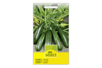 SELECT Zucchetti